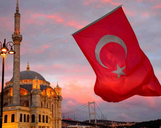 Более 2600 иностранных инвесторов натурализовались в Турции