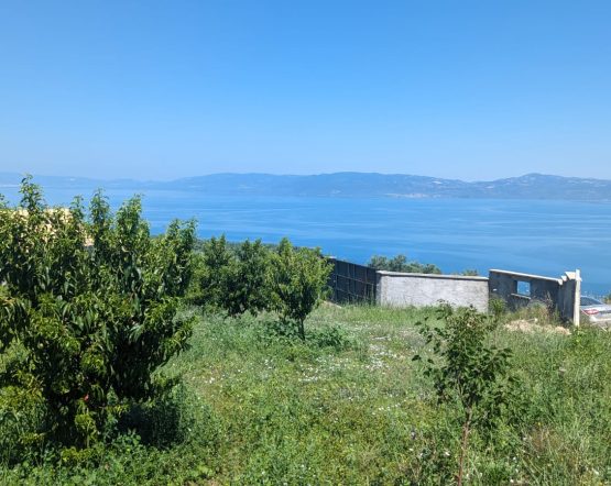 Agricultural land in Bursa Lake Iznik for sale